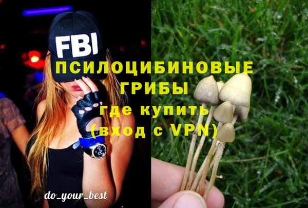 МДПВ Богданович