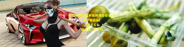 МДПВ Богданович