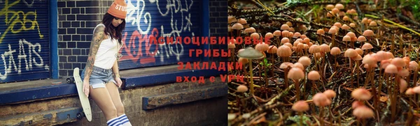 МДПВ Богданович