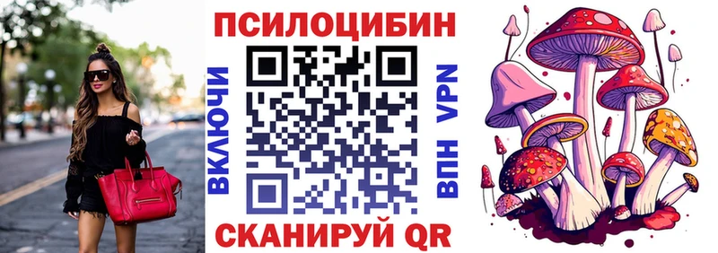 Псилоцибиновые грибы Psilocybe  Новохопёрск 